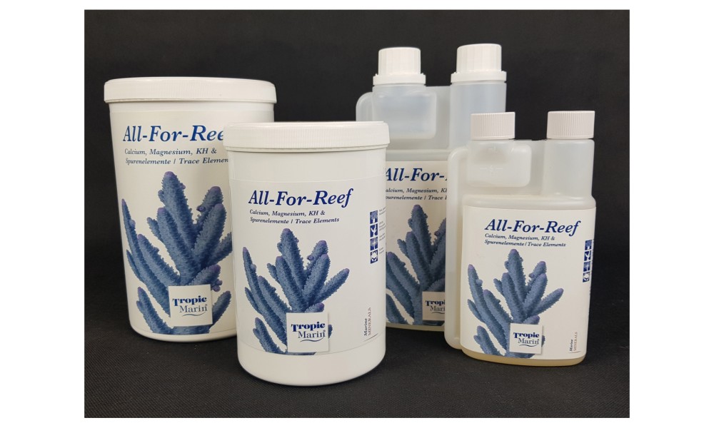 Ballingozás, melyik metódust válaszuk az otthoni tengeri akváriumunkhoz.