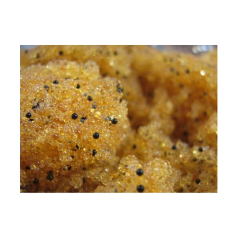 Dr. Fish Kevertágyas vízlágyító műgyanta 1l