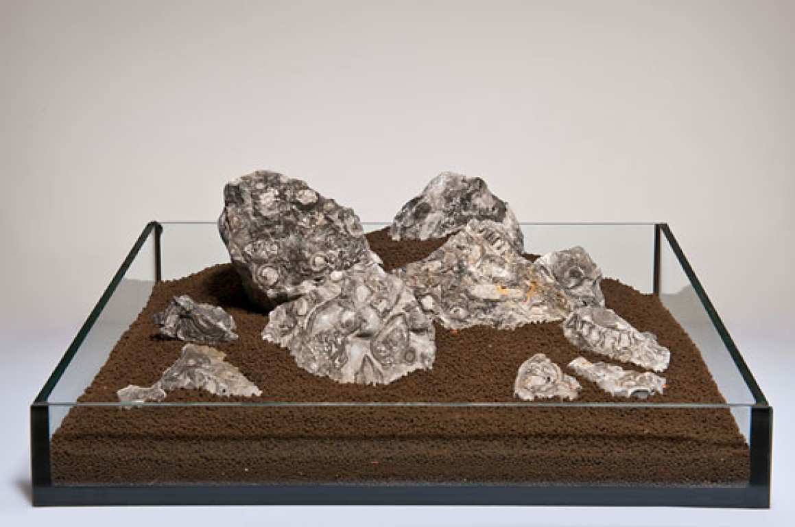 Black Snail Akváriumi dekorációs kő