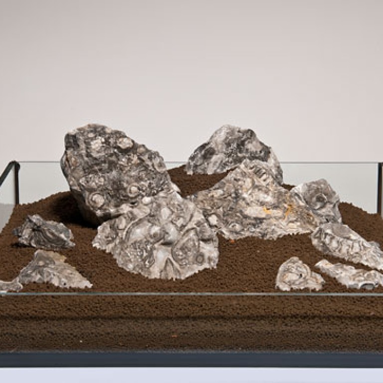 Black Snail Akváriumi dekorációs kő