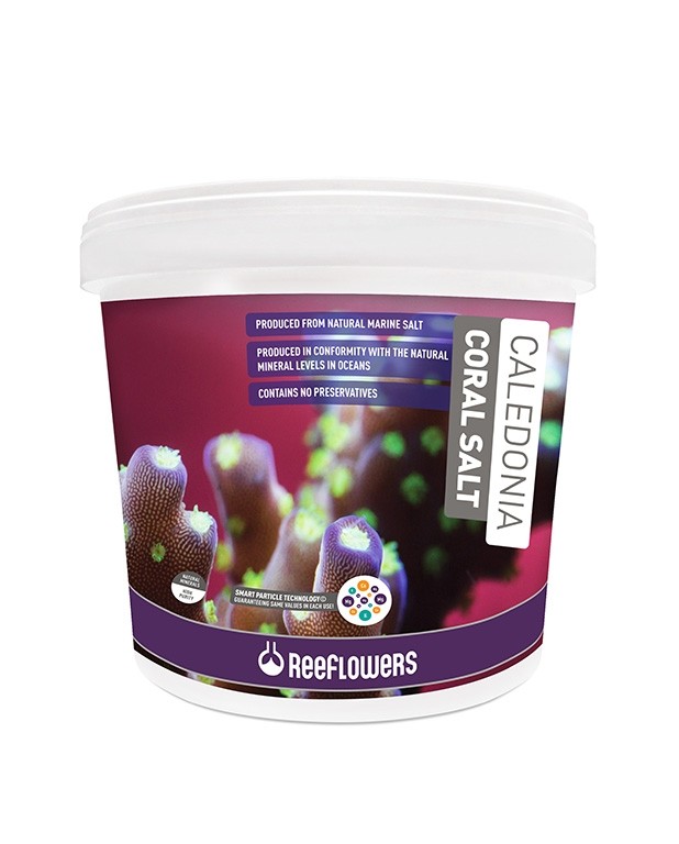 ReeFlowers Caledonia Coral Salt 6,5kg tengeri só