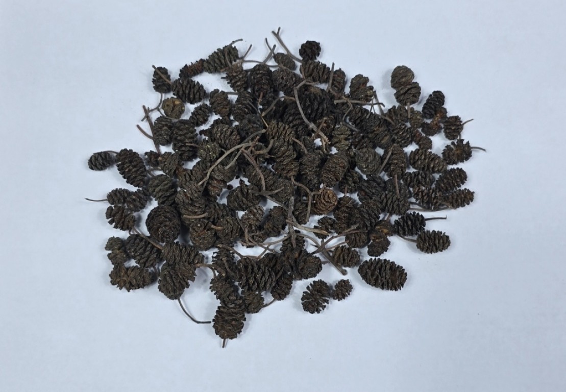 Dr. Fish Égertoboz  120db