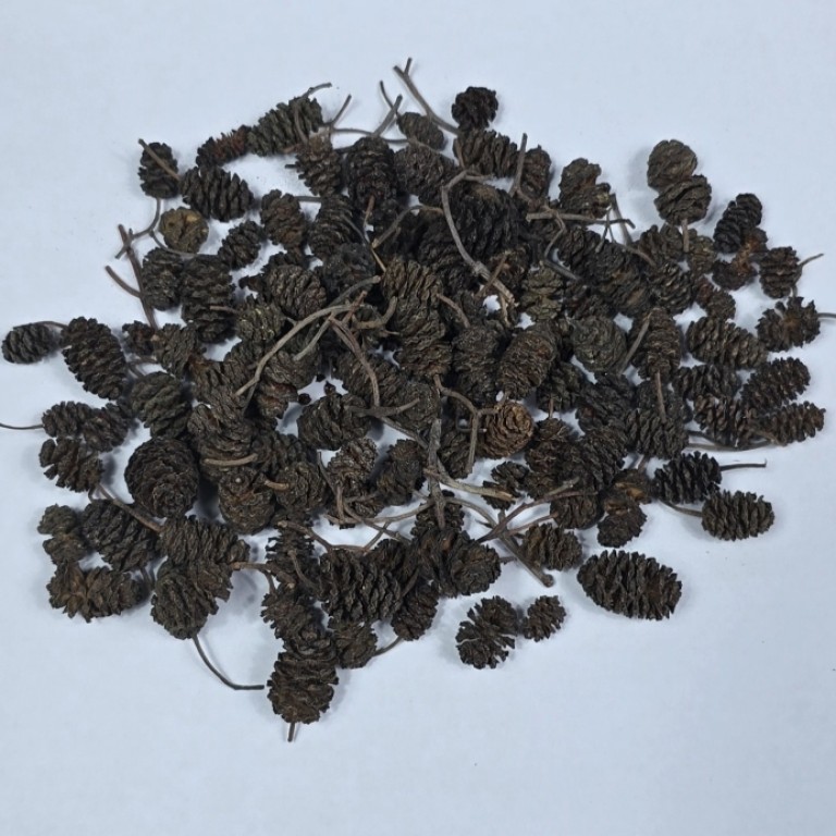 Dr. Fish Égertoboz  120db