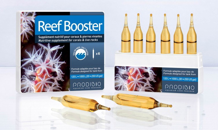 Prodibio Reef Booster /1 ampulla/