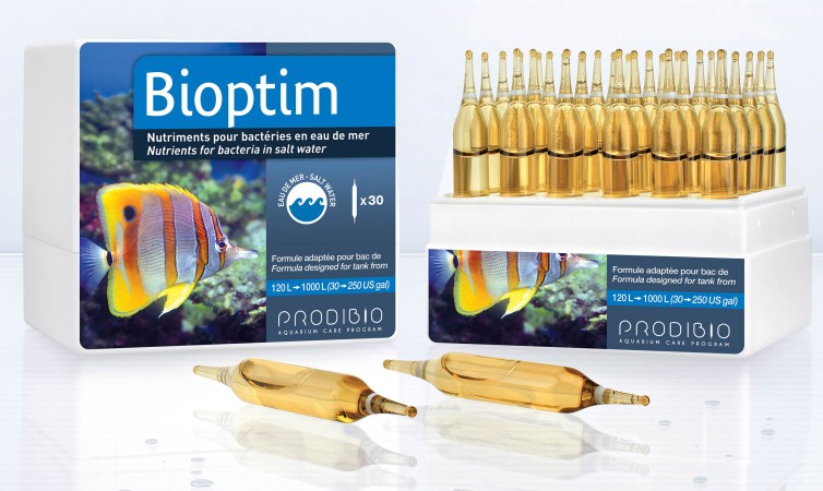 Prodibio Bioptim /1 ampulla/