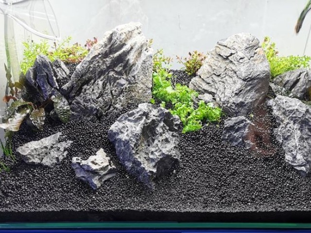 126 literes növényes akvárium optiwhite üvegből