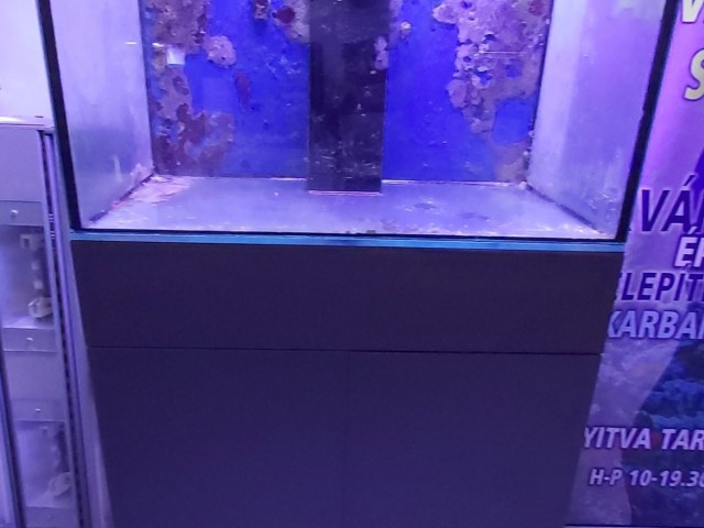 164 literes korallos akvárium