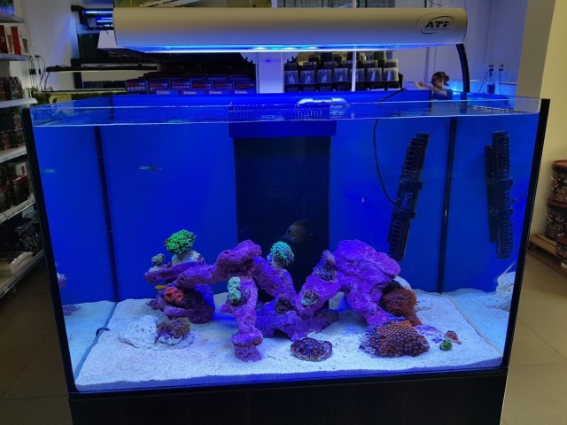 Tengeri akvárium 180 liter