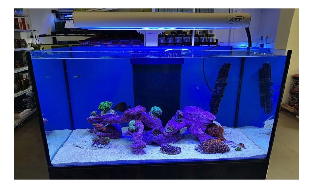 180 literes lágy és kőkorallos tengeri akvárium