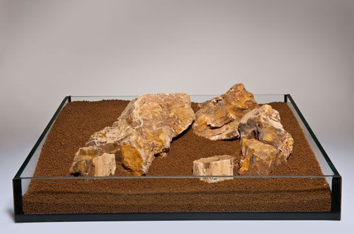 Fossilized Wood (megkövesedett fa) Akváriumi dekorációs kő