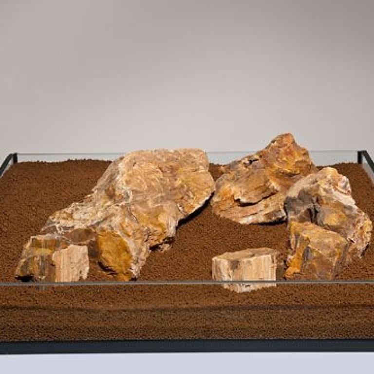 Fossilized Wood (megkövesedett fa) Akváriumi dekorációs kő